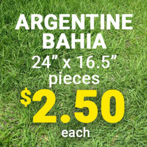 a graphic advertising Bahiagrass sod pieces 24" by 16.5" for $2.50 each