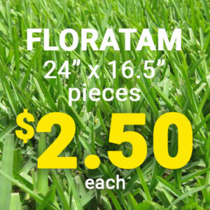 a graphic advertising Floratam sod pieces 24" by 16.5" for $2.50 each